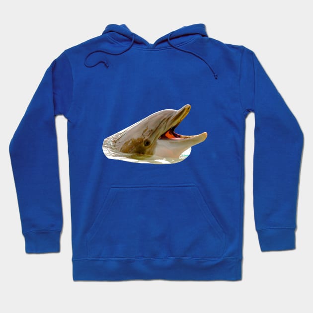 Laughing dolphin Hoodie by dalyndigaital2@gmail.com